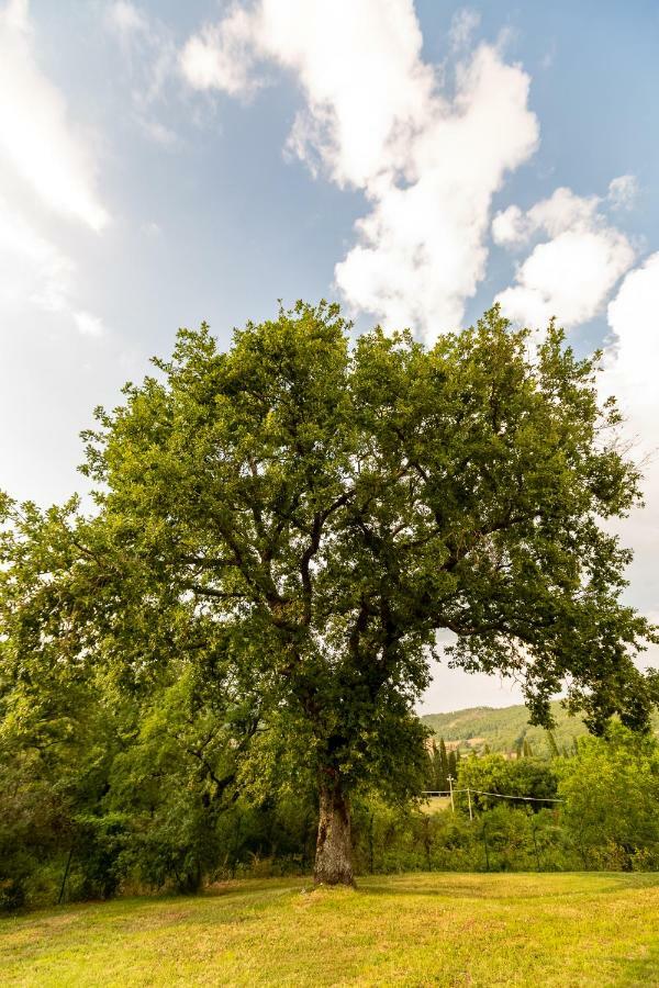 Casa Gabry Villa Sarteano Dış mekan fotoğraf